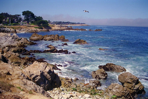 monterey